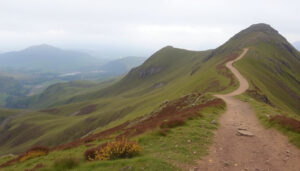 Cat Bells: Walk, Height, Wainwright Facts & Route Guide